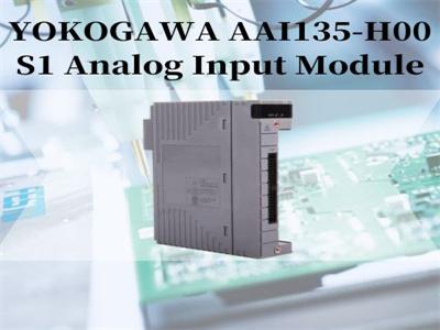 YOKOGAWA AAI135-H00 S1 Analog Input Module